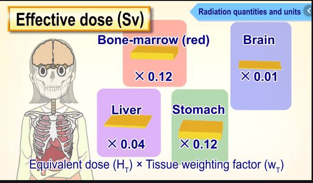 教育訓練用視聴覚教材DVD「Effects of Radiation on Human Body」